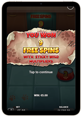 Catch the luck slot machine game